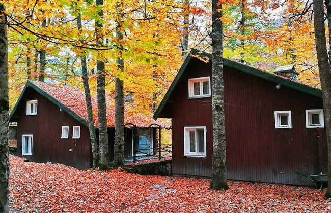 Habitat Mesire Evleri - Foto 1