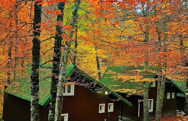 Habitat Mesire Evleri - Foto 41