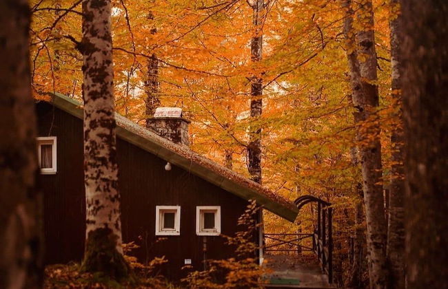 Habitat Mesire Evleri - Foto 37