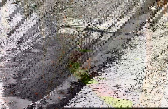 Habitat Mesire Evleri - Foto 24