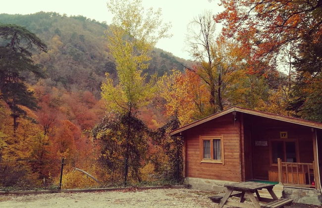 Habitat Mesire Evleri - Foto 31