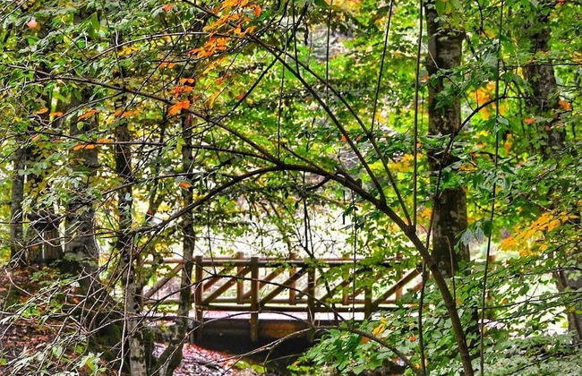 Habitat Mesire Evleri - Foto 53