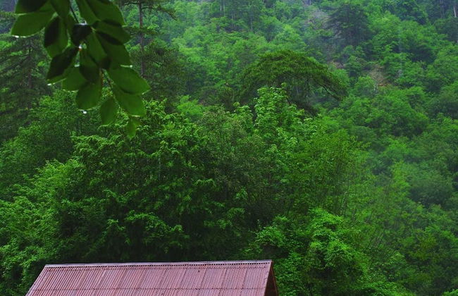 Habitat Mesire Evleri - Foto 3