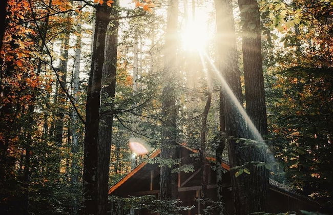 Habitat Mesire Evleri - Foto 28