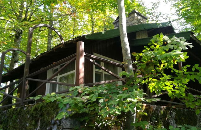 Habitat Mesire Evleri - Foto 26