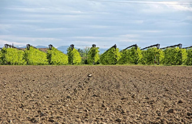 Agriturismo Palazzo Minelli - Foto 41