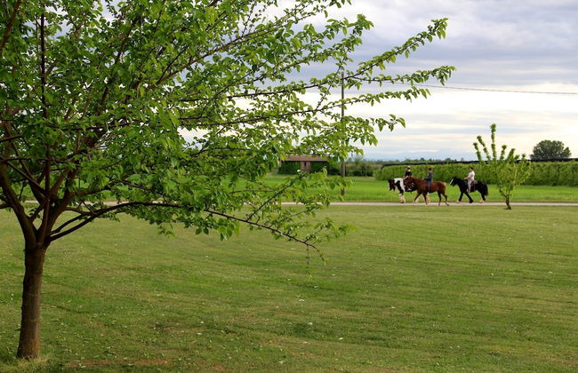 Agriturismo Palazzo Minelli - Foto 44