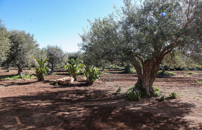 Zahir Country House - Foto 70