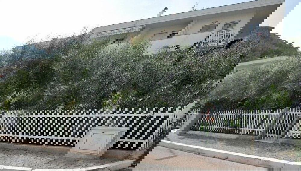 Imagem principal