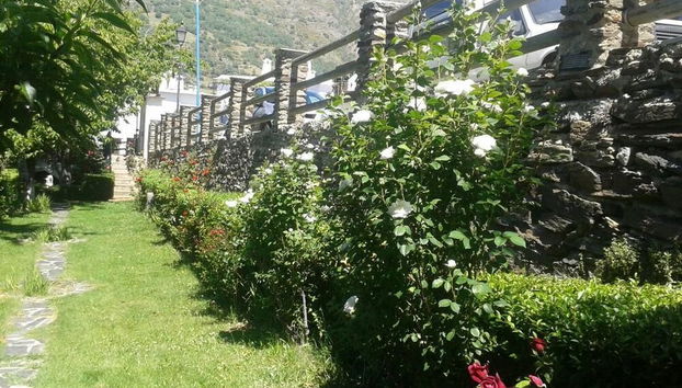 Jardim