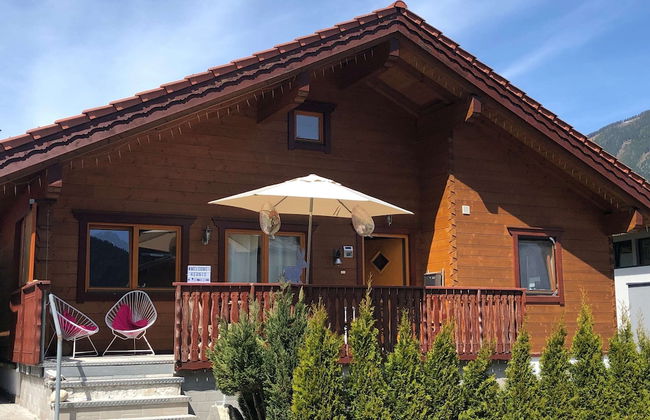 Beautiful log Cabin Near Wildkogel Arena - Foto 1