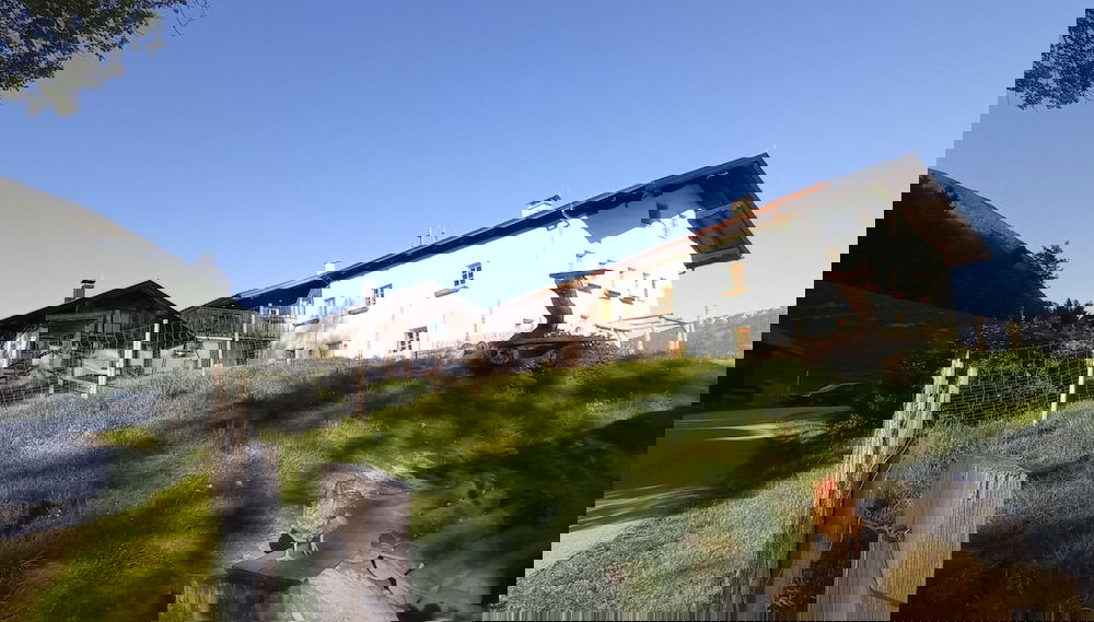 Imagem principal