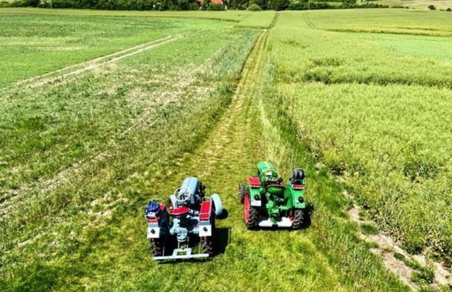 Ferienidyll in Gielow an der Seenplatte - Foto 13