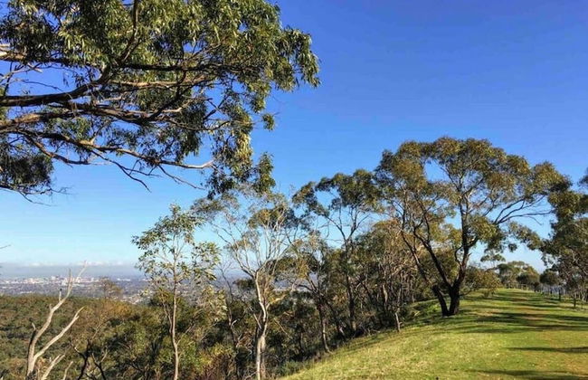 3BR Unit Free Park Wifi Campbelltown - Foto 20