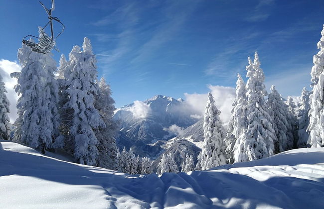 Apartment in Hippach Near Mayrhofen Ski Area - Foto 1