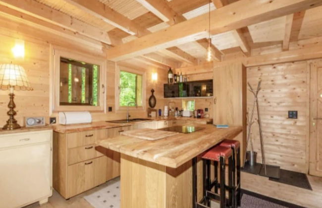 Chalet in Rossiniere Near Glacier & Lake - Foto 13