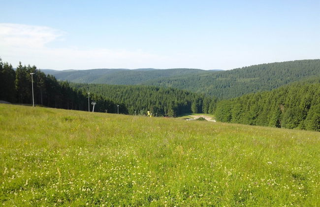 Apartment in Schnett Near the ski Area - Foto 16