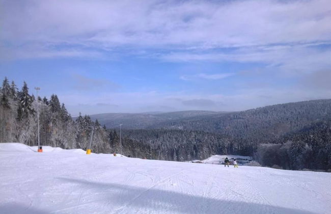 Apartment in Schnett Near the ski Area - Foto 37