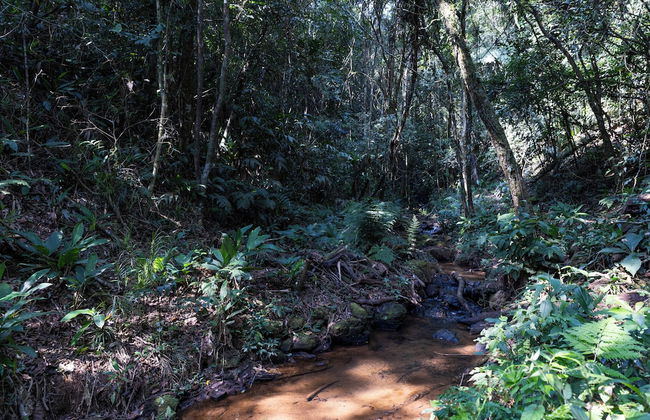 Sitio Natureza piscina e churrasqueira - Foto 62