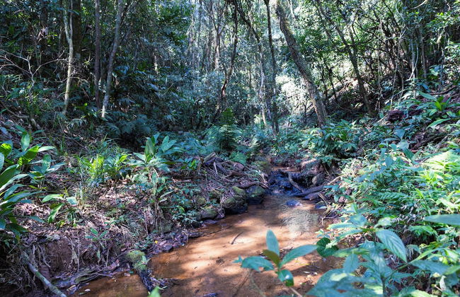 Sitio Natureza piscina e churrasqueira - Foto 61