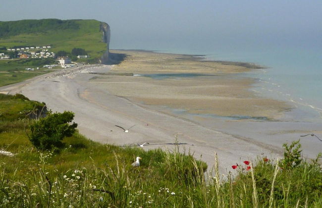 Holiday Home in Quiberville sur Mer - Foto 19