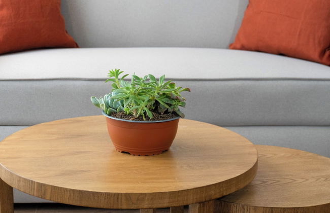 Art Homes 85 - Foto 54