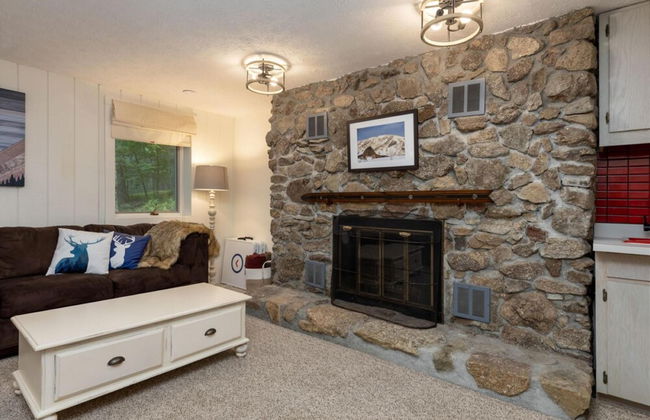 Wintergreen Retreat Jacuzzi Sauna dog Friendly - Photo 14