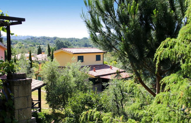 Residence Near Guardistallo With Olive Groves - Photo 16