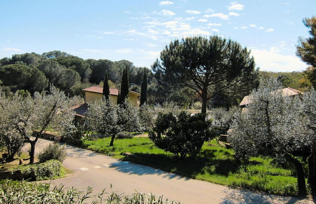 Residence Near Guardistallo With Olive Groves - Photo 17