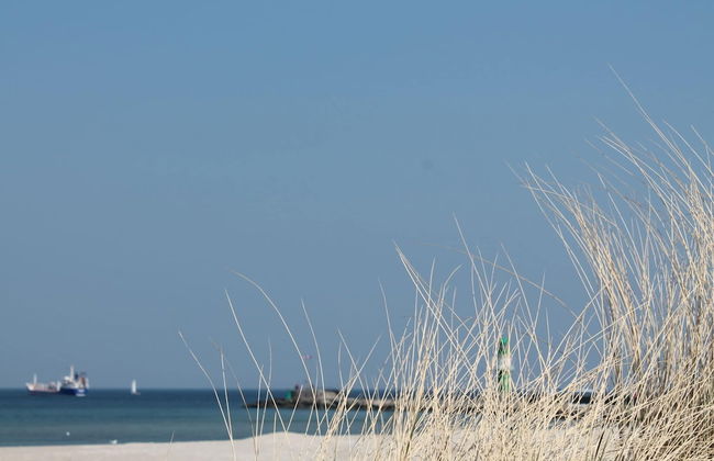 Ferienhaus in der Naehe der Ostsee - Foto 79