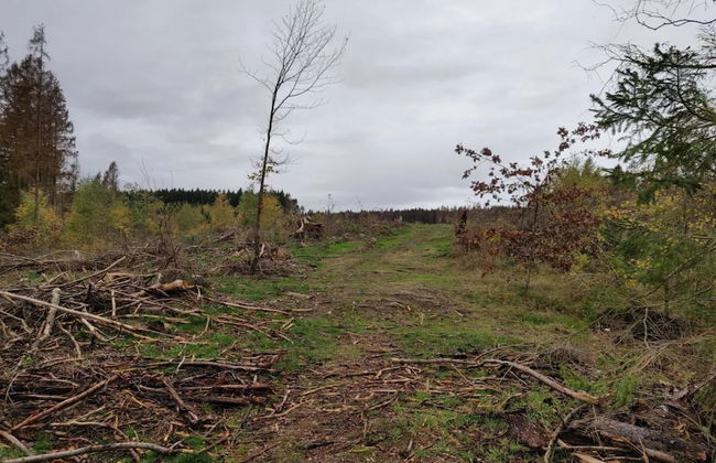 Doppelhaushaelfte in Hasselfelde - Foto 37