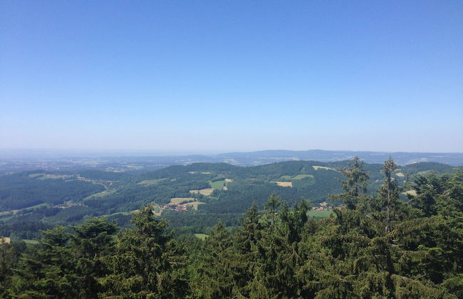 Welcoming Chalet Near Forest in Rohrnbach - Foto 67