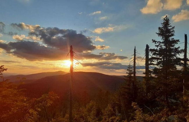 Welcoming Chalet Near Forest in Rohrnbach - Foto 74