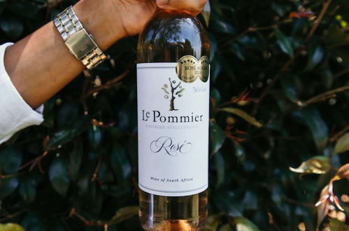 Photo 57 - Le Pommier Wine Estate