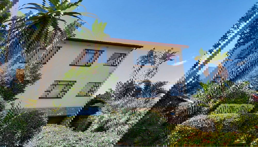 Imagem principal