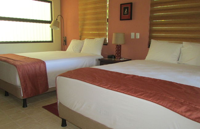 Portasol Living - Foto 9