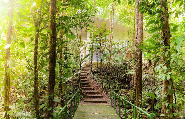 Portasol Living - Foto 31