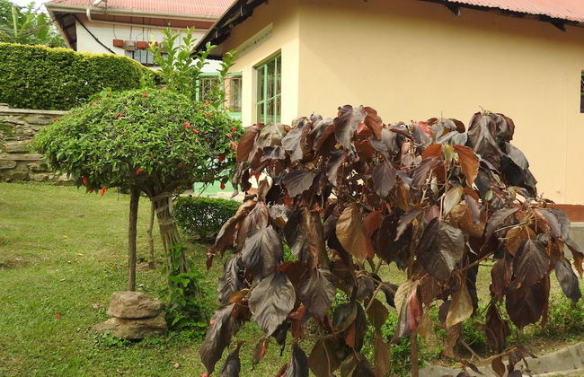 Green Village Apartments - Foto 18