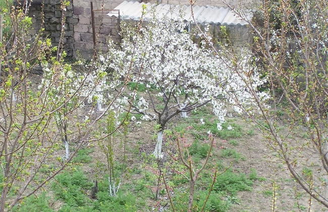 B&B Sunrise House Aygavan Armenia - Foto 1