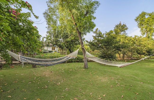 GuestHouser 3 BHK Cottage c364 - Foto 12