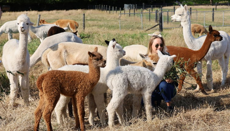 Foto 1 - Silverstream Alpaca Farmstay and Tour