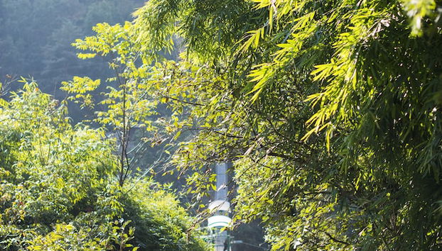 Entrada (vista interior)