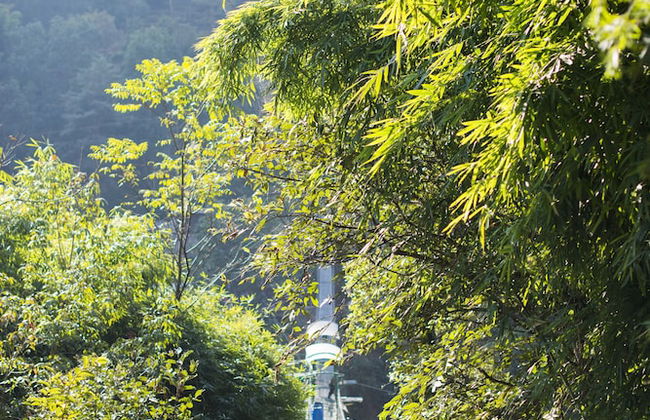 The Last Resort - Foto 3