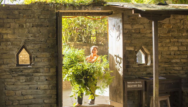 Entrada (vista interior)