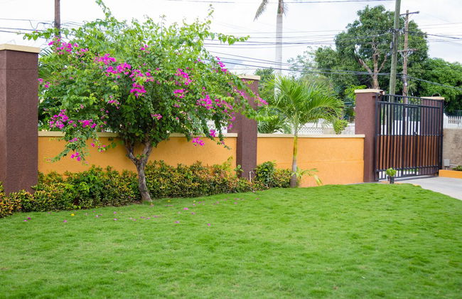 Centrally Located Guest Apartments - Photo 25