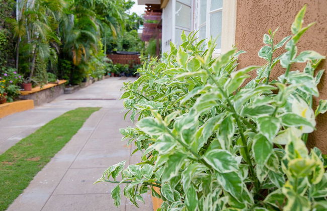 Centrally Located Guest Apartments - Photo 23