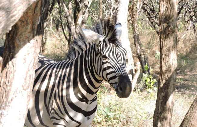 Umvangazi Rest - Enjoy a Relaxing, Rejuvenating and Peaceful Setting in the Bush - Foto 49