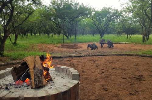 Photo 24 - Umvangazi Rest - Enjoy a Relaxing, Rejuvenating and Peaceful Setting in the Bush