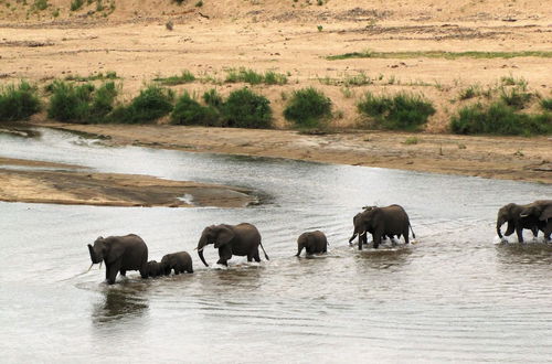 Foto 53 - Umvangazi Rest - Enjoy a Relaxing, Rejuvenating and Peaceful Setting in the Bush