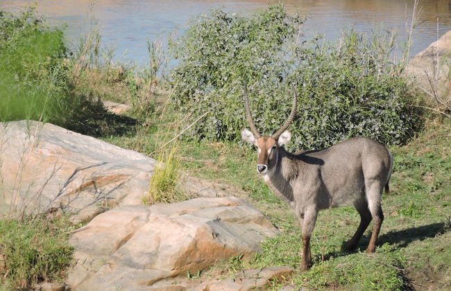 Umvangazi Rest - Enjoy a Relaxing, Rejuvenating and Peaceful Setting in the Bush - Foto 23